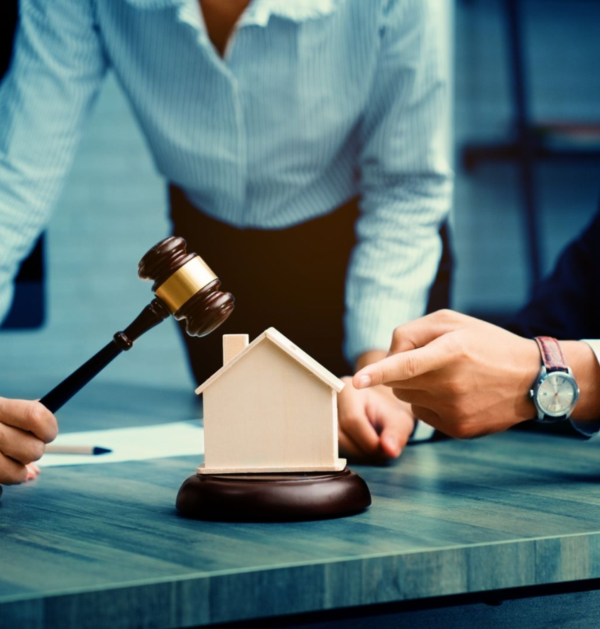 Real Estate Litigation